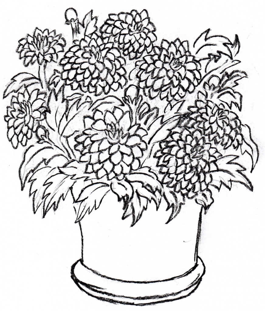 872x1024 Flower Pot Drawing With Colour Drawings Of A Flower Pot