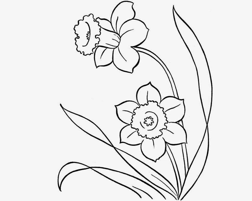 1028x820 Beautiful Flowers Drawings For Kids Colour Drawing Free Hd