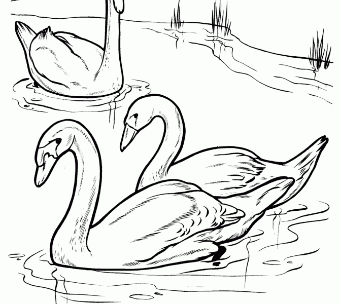 670x600 Drawing Coloring Pages Draw Coloring Pages Elegant Draw Coloring