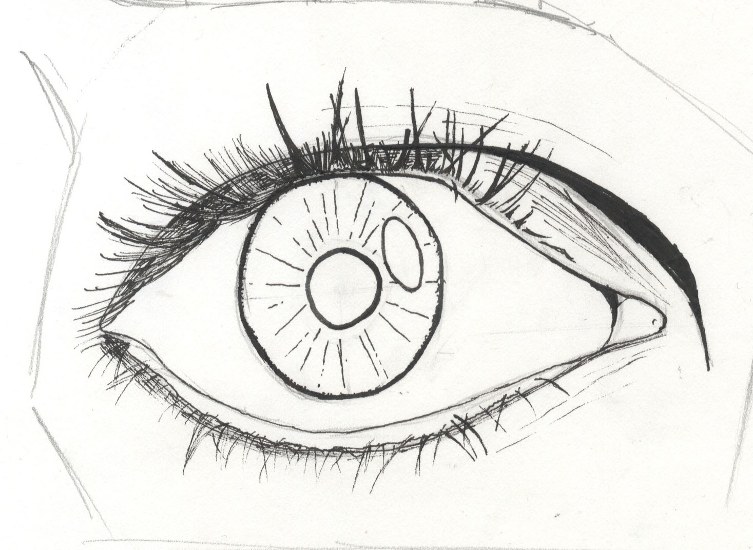 1467x1072 Latino Film Poster Andrew Goodhand Illustration