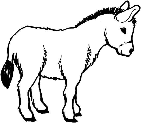 600x526 Donkey Coloring Pages For Children Tags Donkey Colouring Pages