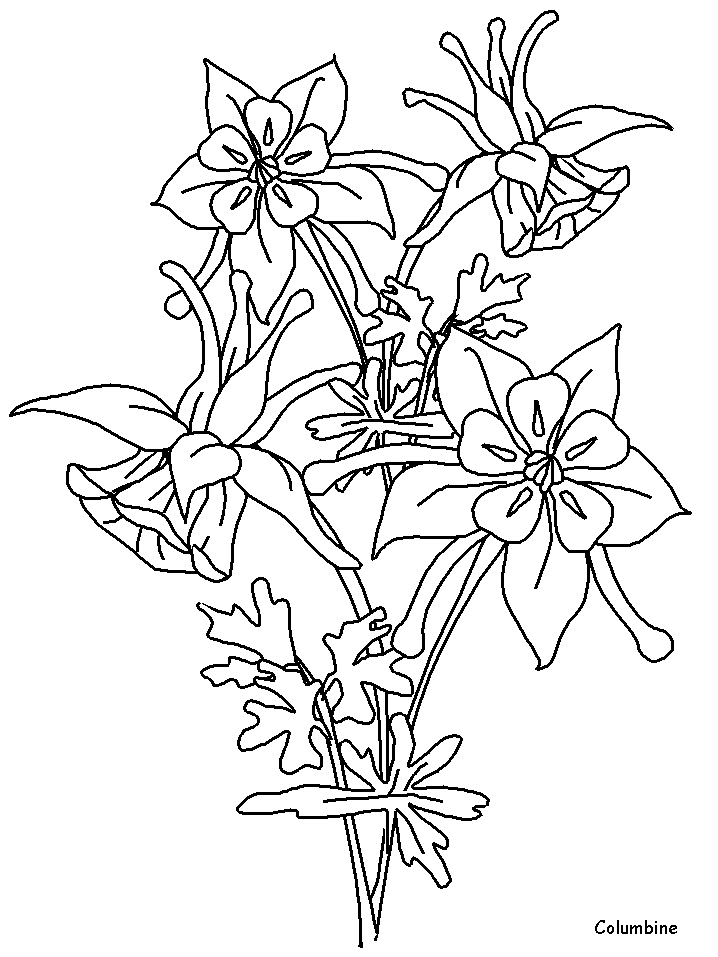 718x957 Coloring Page Place Animal Coloring Coloring Activities