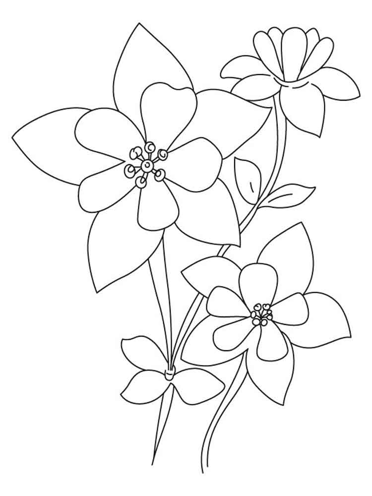 750x1000 Columbine Flowers Coloring Pages. Download And Print Columbine