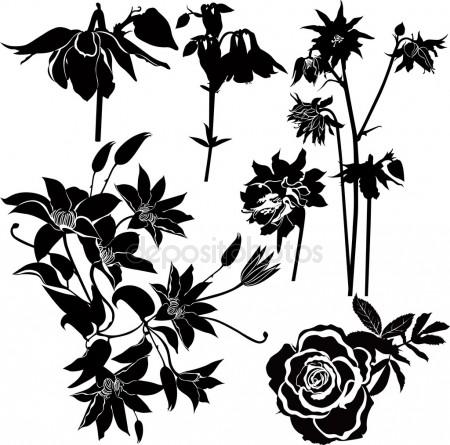 450x445 Columbine Flower Stock Vectors, Royalty Free Columbine Flower