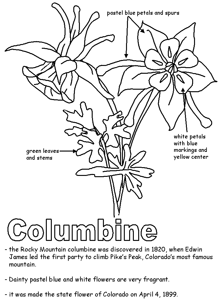 718x957 Columbine With Labels