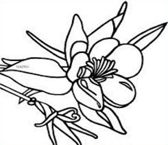 245x211 Free Columbine Clipart