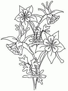 236x314 I'D Rather Be Drawing! Columbine Flowers And Butterfly Artsy