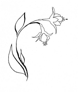 320x375 Columbine Flower Template Pattern Templates Amp Printables