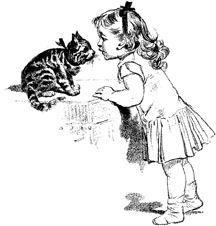 216x226 Funny Cat Face The New Image Of Fun Stuff For More Laughter