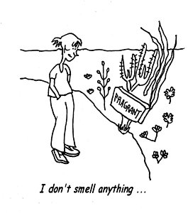 265x300 Black Comedy Drawings