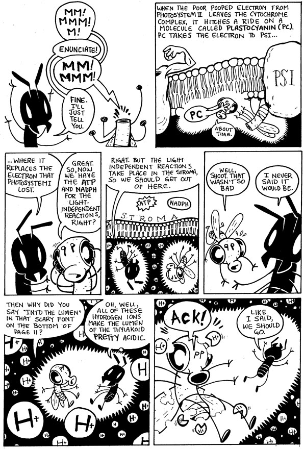 596x880 Cartoons Drawing Flies