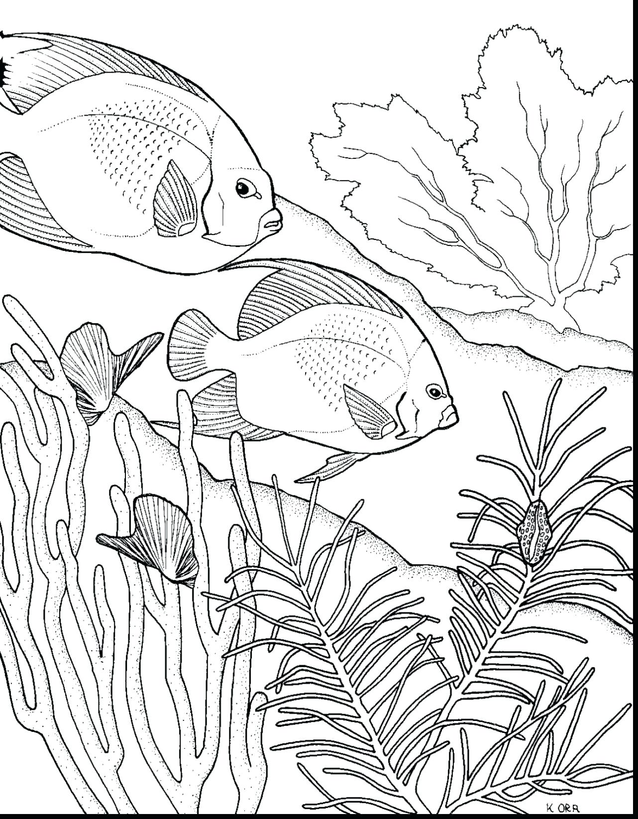 1282x1645 Coloring Coral Reef Coloring Pages Extraordinary Drawing Easy