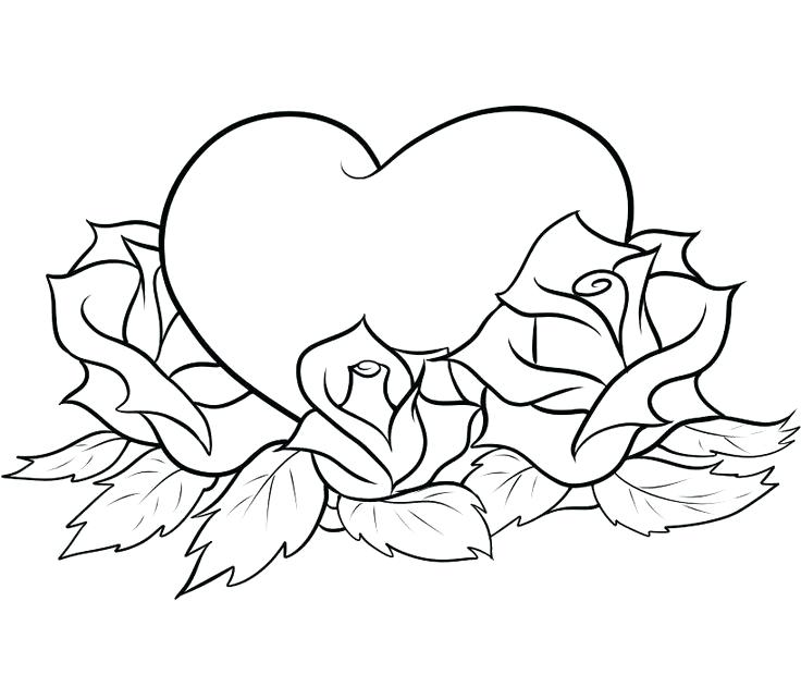 736x620 Free Rose Coloring Pages Coloring Page Coloring Pages Luxury Draw