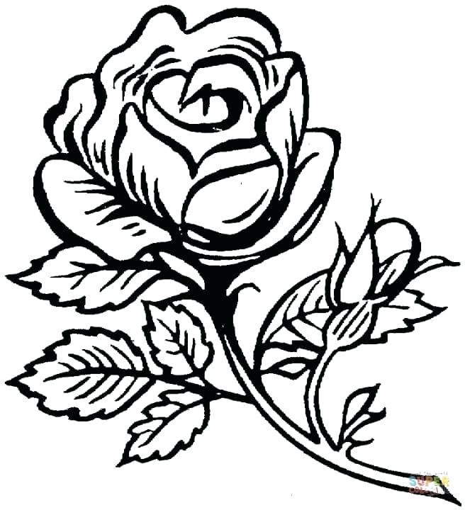 656x720 Rose Coloring Pictures Coloring Pages Roses Hearts Heart