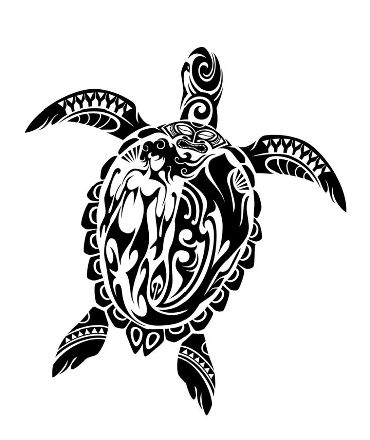 736x876 Collection Of Turtle Compass Tattoo Design