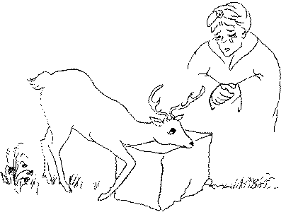 404x300 Buddhist Tales King Banyan Deer