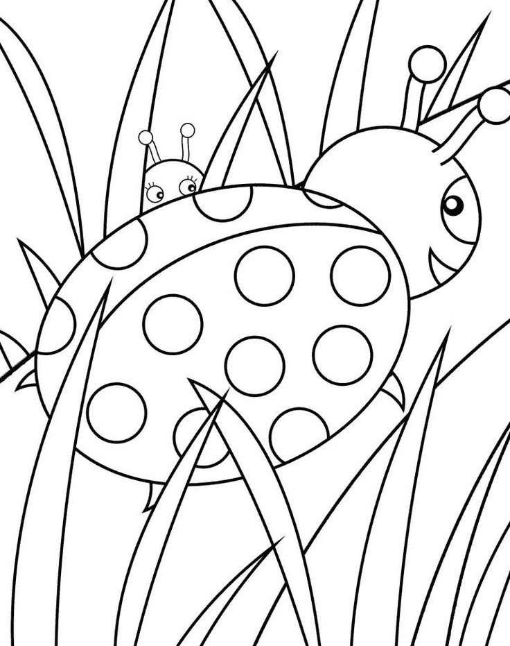 736x931 27 Best Bugs Images On Kids Net, Insects Bugs
