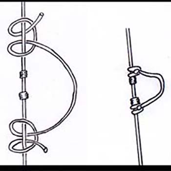 350x350 How Compound Bows Work And What You Need To Know To Shoot One