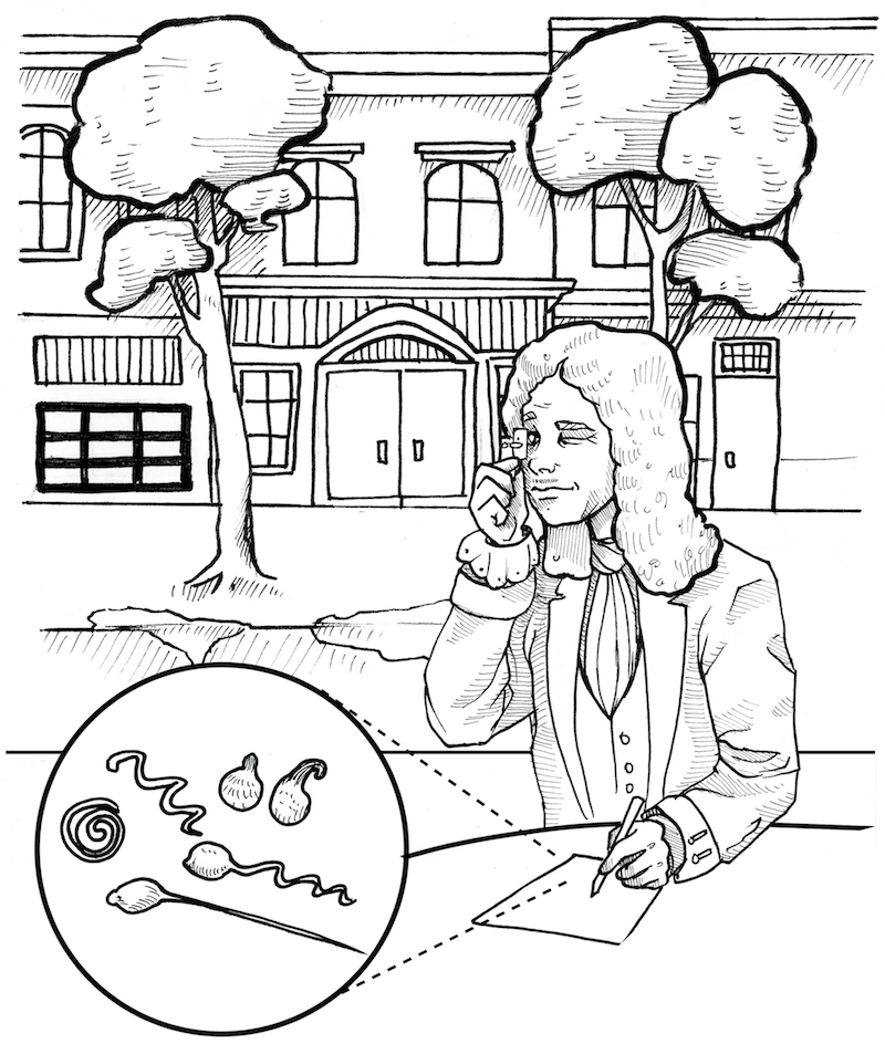 800x944 Experiment The Leeuwenhoek Microscope And The Beginning Of Our