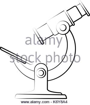 Compound Light Microscope Drawing at GetDrawings | Free download