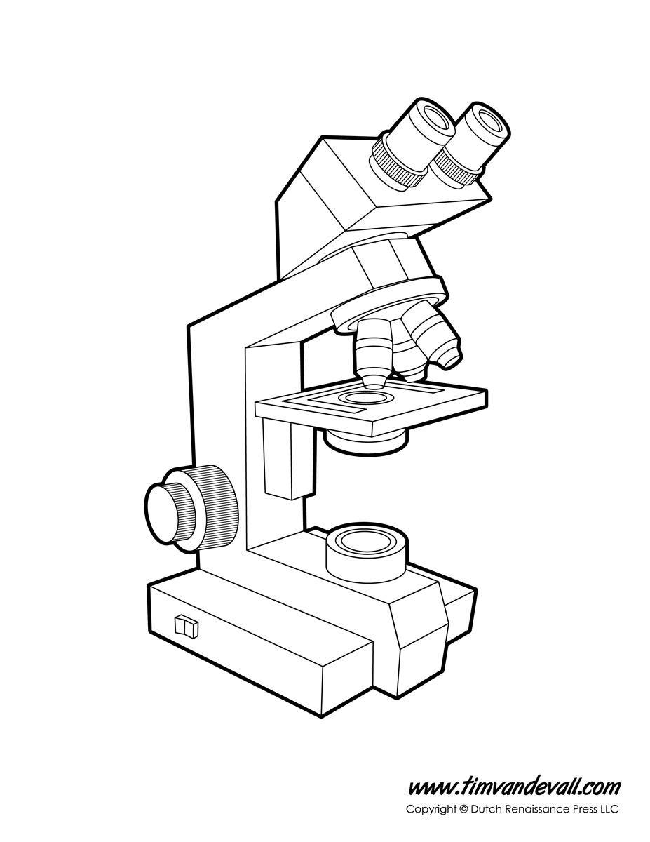 927x1200 Microscope Drawing With Parts Microscope Diagram Labeled