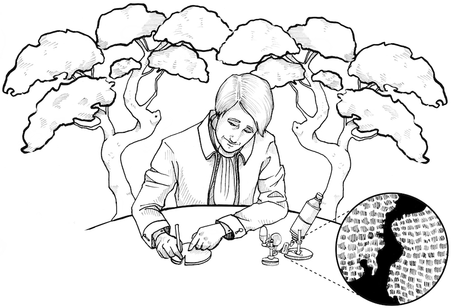 900x612 Experiment The Leeuwenhoek Microscope And The Beginning Of Our