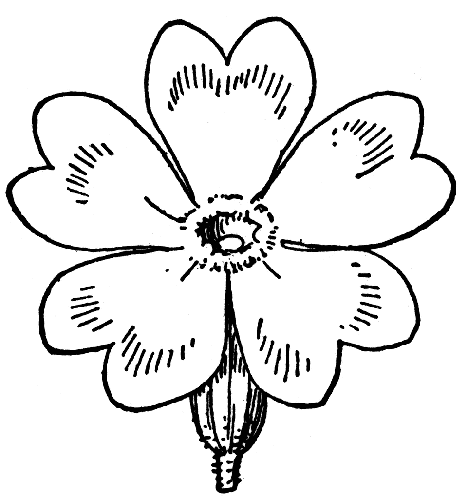 961x1024 Download 3d Rendering In Computer Graphics 2012