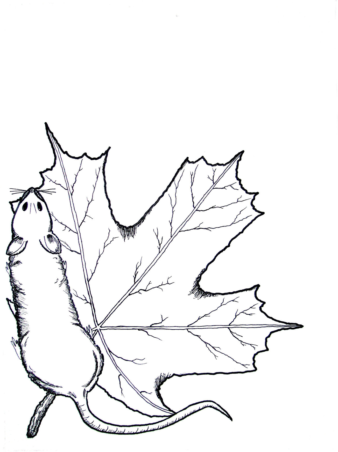 1400x1869 Drawings And Paintings By Candace Kita