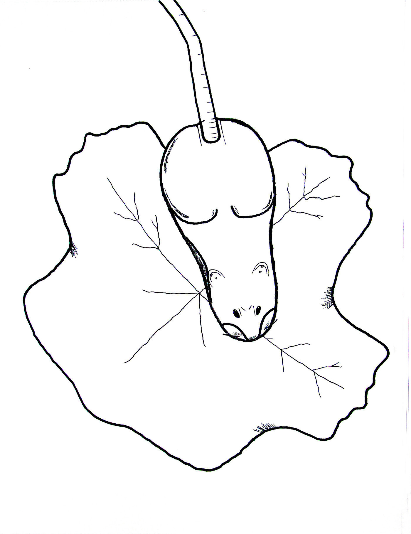 1400x1819 Drawings And Paintings By Candace Kita