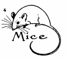 236x203 How To Draw A Mice
