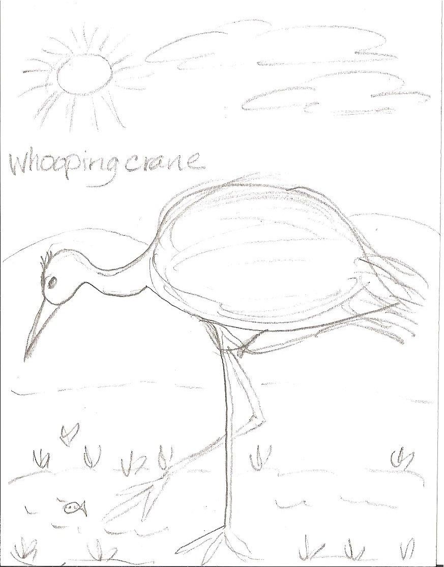 873x1113 Pencil Drawing In The Computer Lab Kindergarten Art