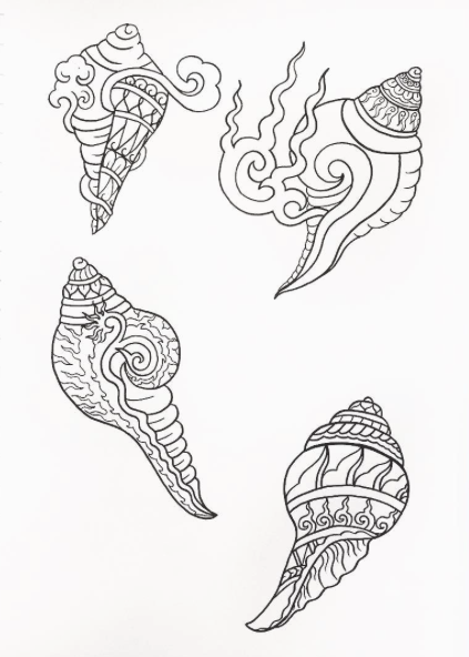 Conch Drawing at GetDrawings | Free download