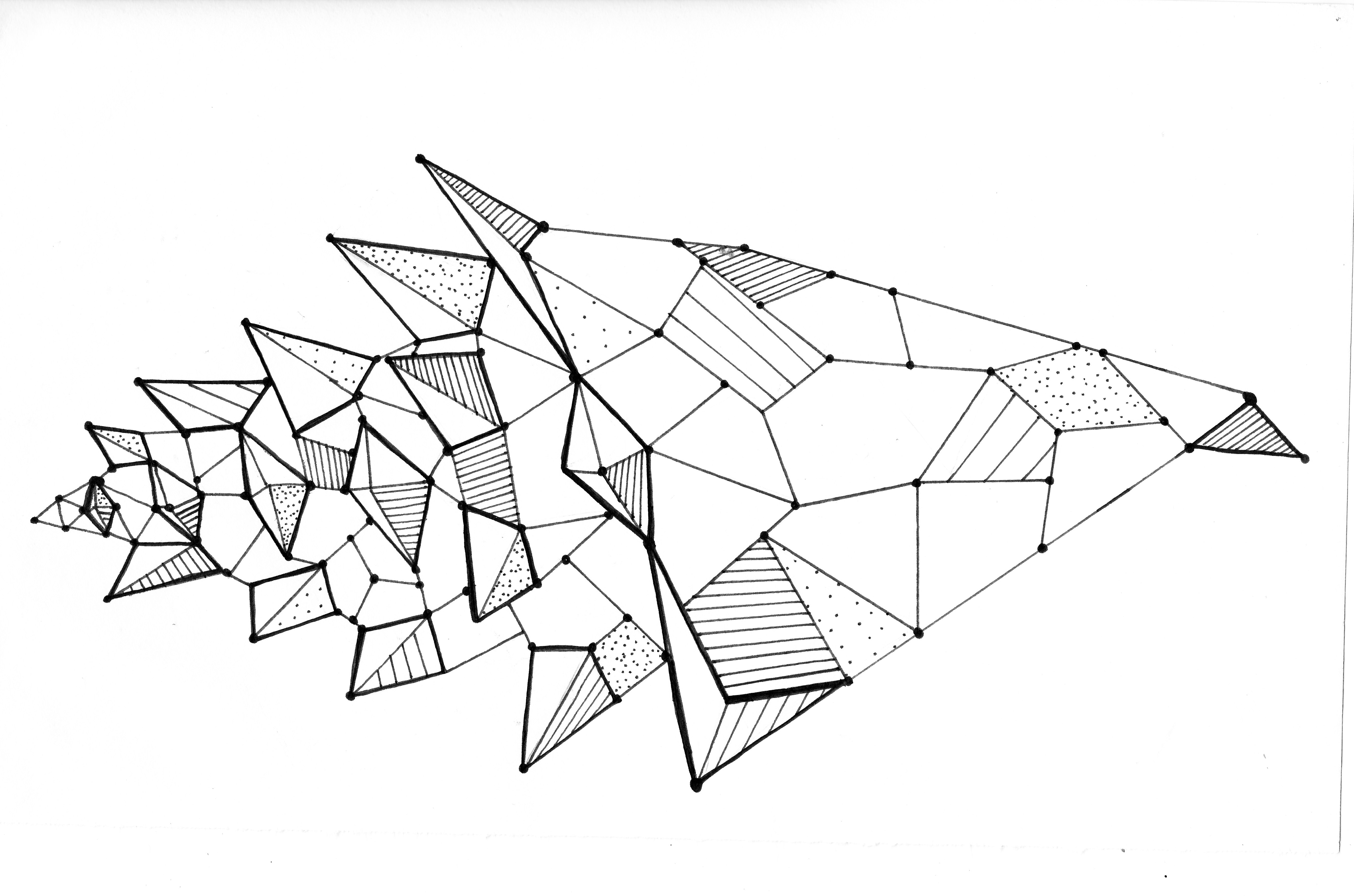 5326x3525 Inspired By Conch