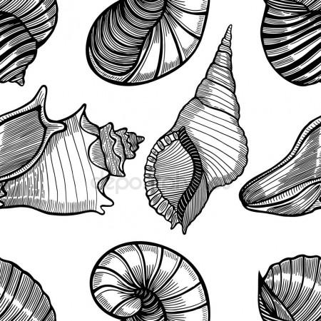 450x450 Colorful Spiral Conch Sea Shell, Isolated Sketch Style Vector