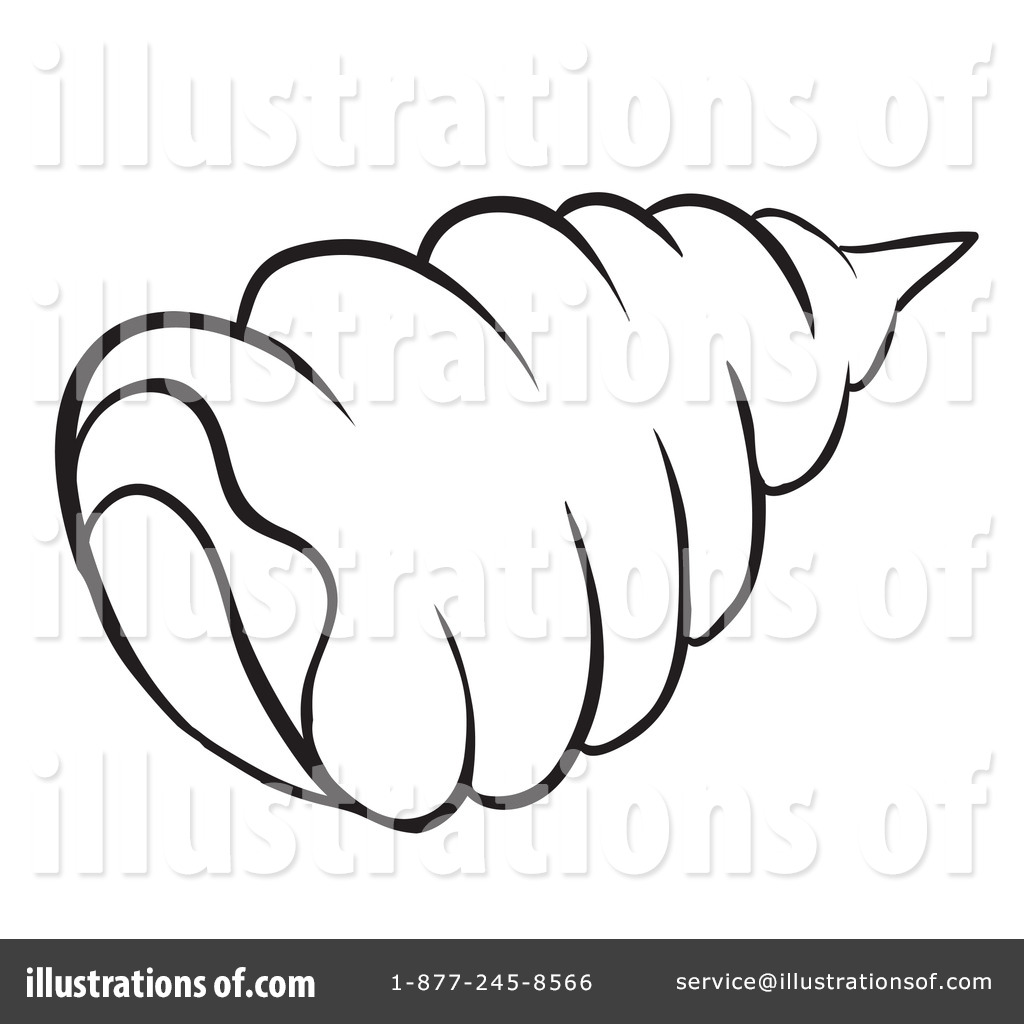 1024x1024 Sea Shell Clipart