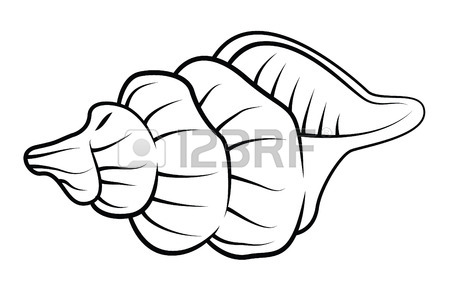 450x296 Shell Royalty Free Cliparts, Vectors, And Stock Illustration