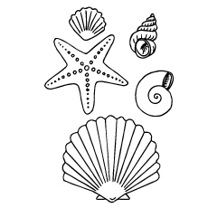 230x230 Top 25 Free Printable Shell Coloring Pages Online