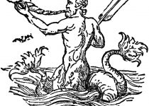 210x150 Clip Art Conch Shell Clip Art