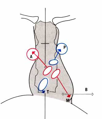 331x387 Figure 23 14