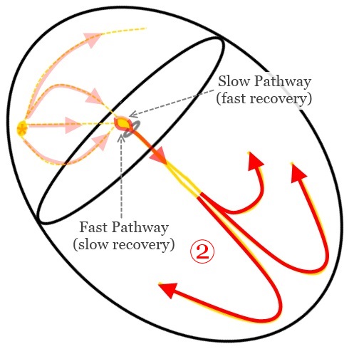 490x490 My Variables Only Have 6 Letters Whiteboard Cardiology