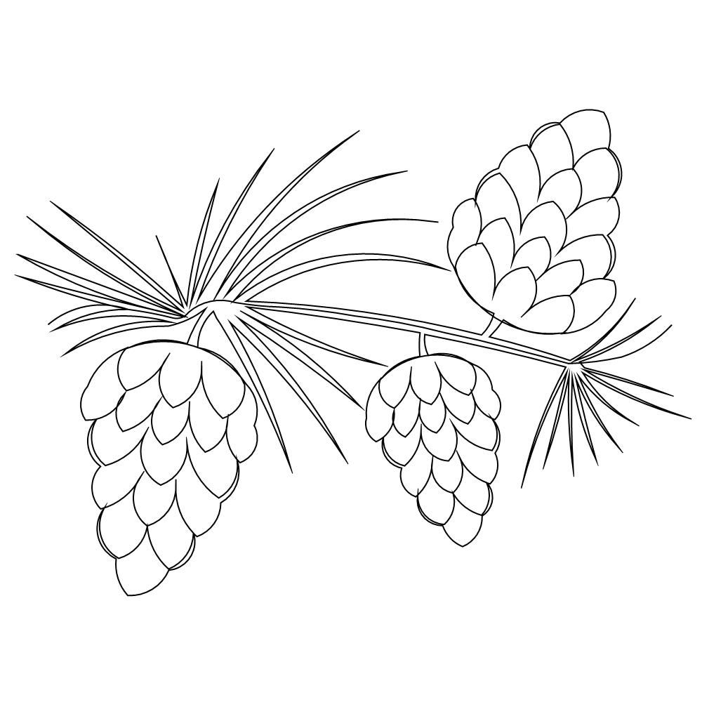 1000x1000 Pine Trees Coloring Pages