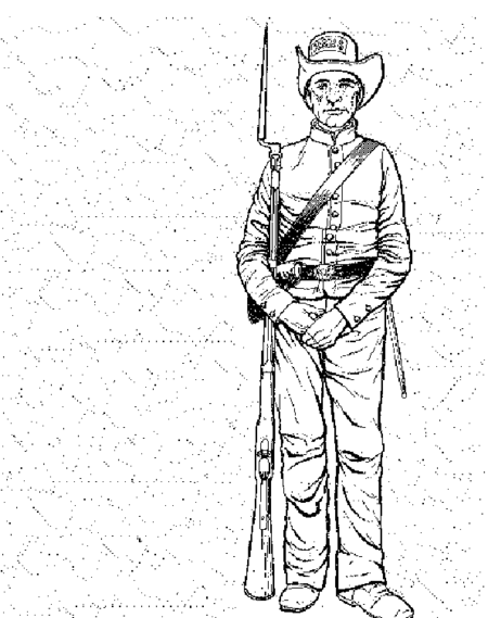 450x569 Drawn Soldiers Civil War