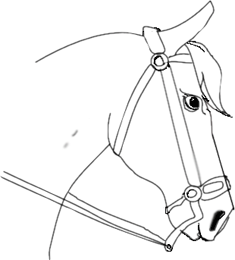 235x260 How To Draw A Horse