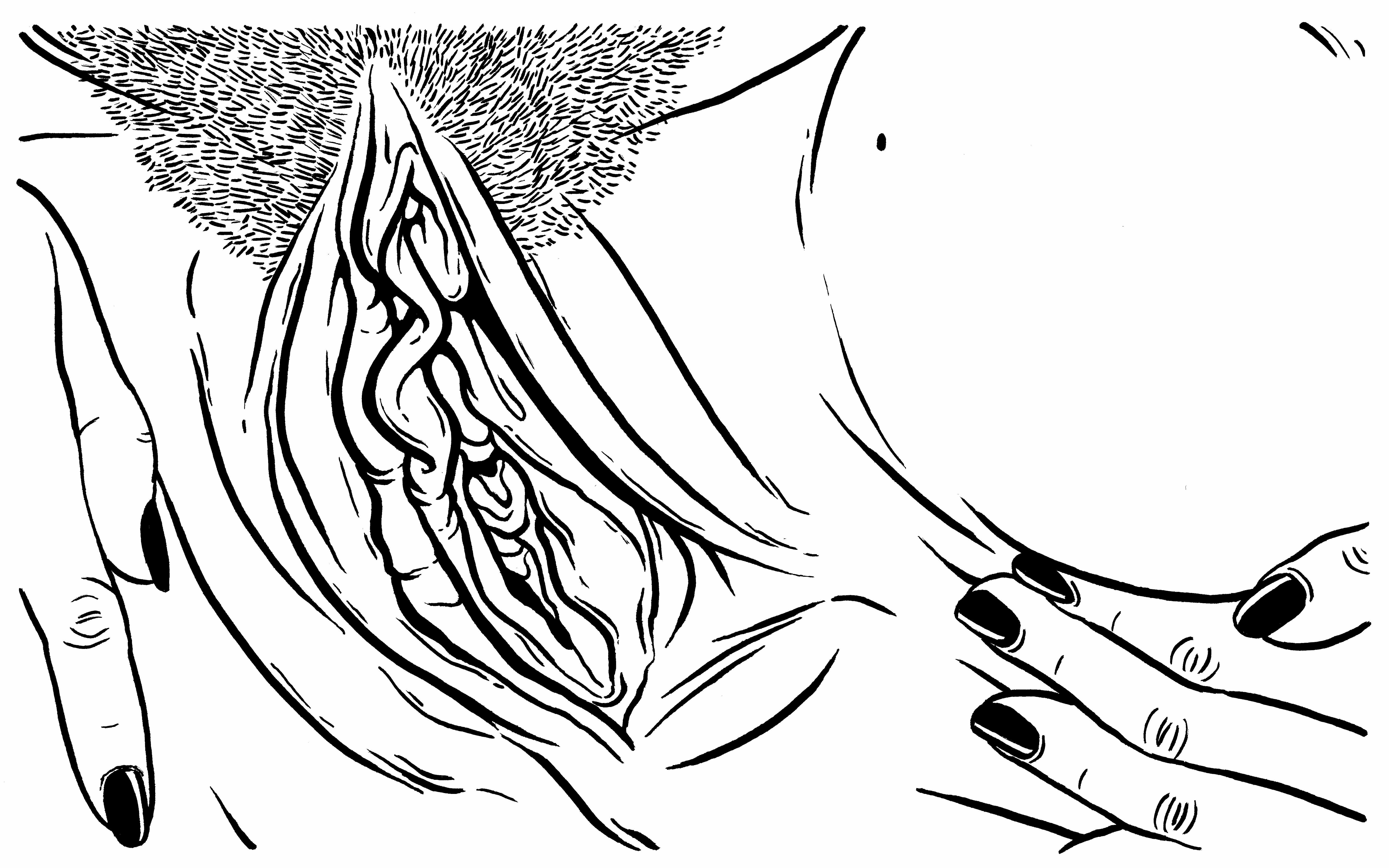 6599x4124 Art Feature Meredith White Ramona Magazine For Girls