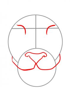 236x302 How To Draw A Tiger Face, Step By Step Tiger Tiger