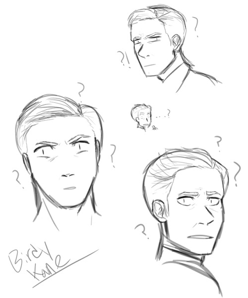 500x600 Birdy Sketches Tumblr