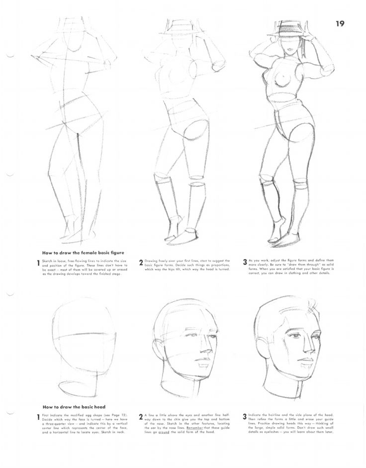 736x940 49 Best Human Body Construction Images On Faces