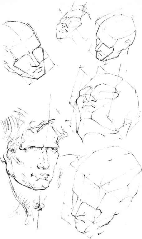 456x765 The Head, The Head. Construction Lines In Perspective, Masses