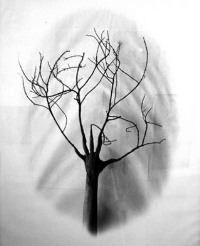 390x480 1050 Best Contemporary Photography