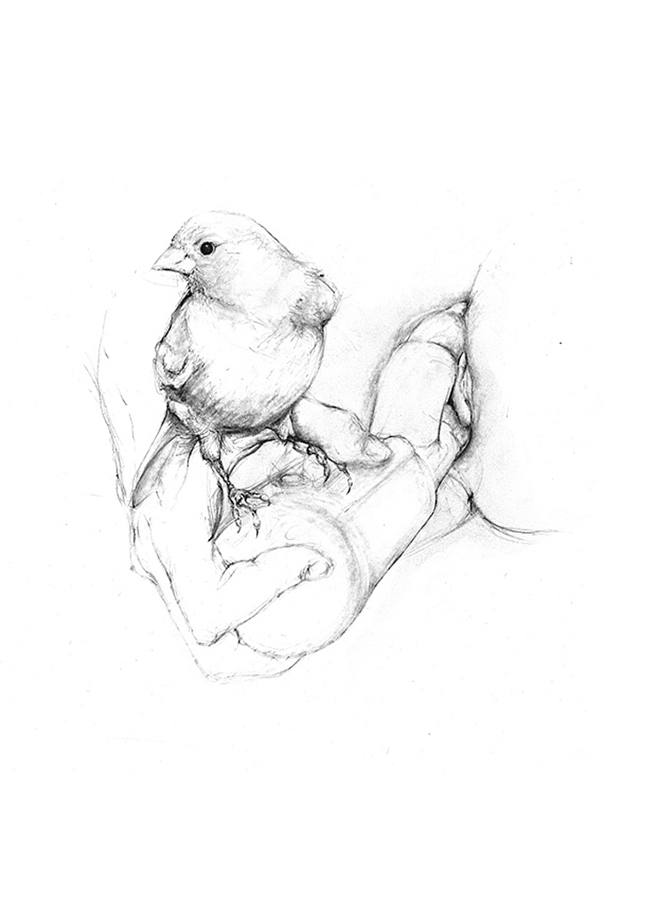 741x1024 Miranda Whall